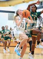 Photo from the gallery "White Oak @ Croatan"