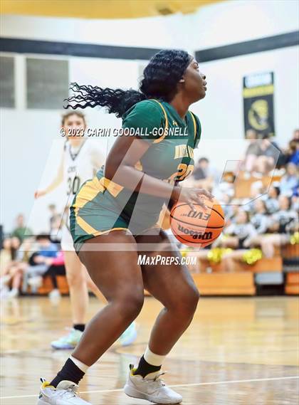 Thumbnail 1 in White Oak @ Croatan photogallery.