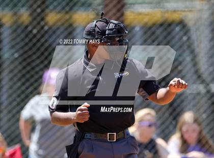 Thumbnail 2 in Captain Shreve @ Byrd photogallery.