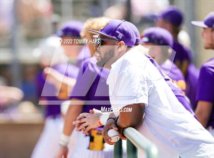 Thumbnail 3 in Captain Shreve @ Byrd photogallery.