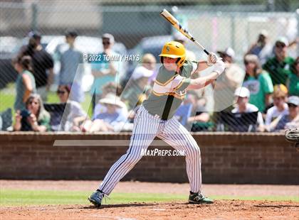 Thumbnail 2 in Captain Shreve @ Byrd photogallery.