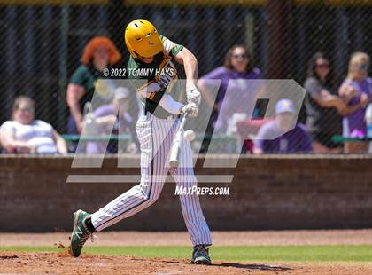Thumbnail 1 in Captain Shreve @ Byrd photogallery.