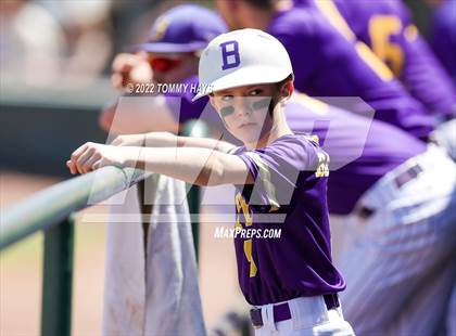 Thumbnail 1 in Captain Shreve @ Byrd photogallery.