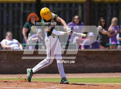 Thumbnail 2 in Captain Shreve @ Byrd photogallery.