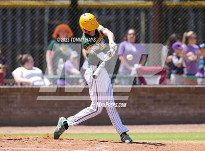 Thumbnail 1 in Captain Shreve @ Byrd photogallery.