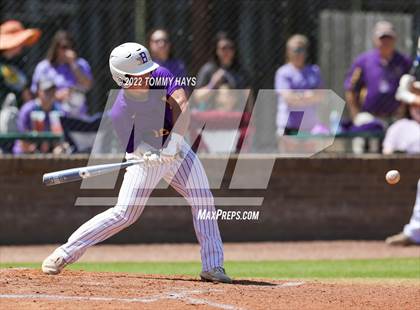 Thumbnail 1 in Captain Shreve @ Byrd photogallery.