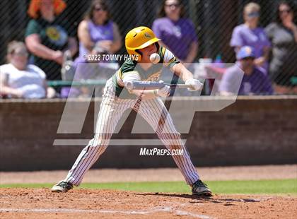 Thumbnail 3 in Captain Shreve @ Byrd photogallery.