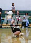 Photo from the gallery "Golden Valley @ Canyon"