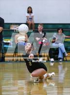 Photo from the gallery "Golden Valley @ Canyon"