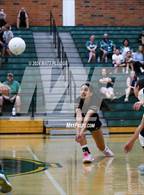 Photo from the gallery "Golden Valley @ Canyon"