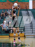 Photo from the gallery "Golden Valley @ Canyon"