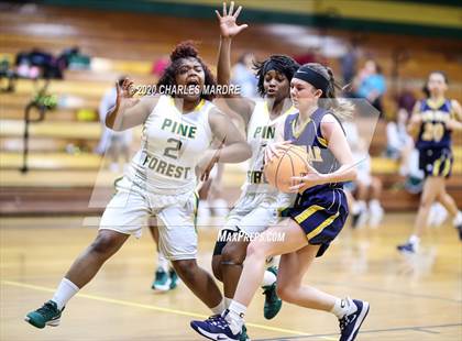 Thumbnail 2 in Cape Fear @ Pine Forest photogallery.