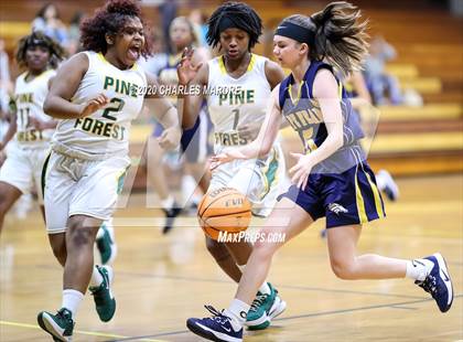 Thumbnail 1 in Cape Fear @ Pine Forest photogallery.