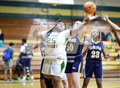 Thumbnail 1 in Cape Fear @ Pine Forest photogallery.