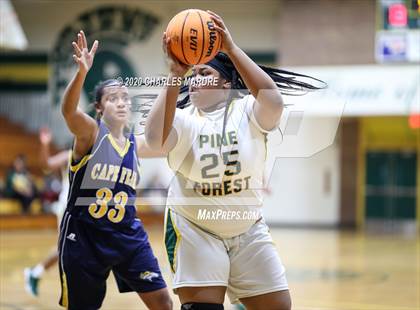 Thumbnail 1 in Cape Fear @ Pine Forest photogallery.