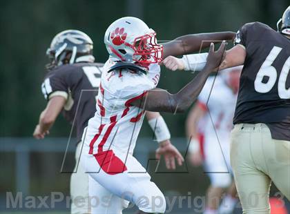 Thumbnail 3 in St. Joseph @ Absegami photogallery.