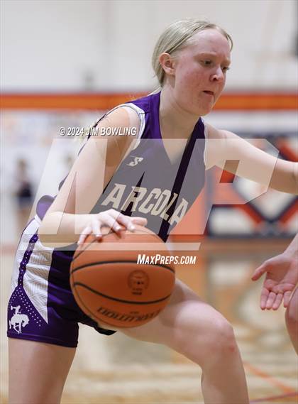 Thumbnail 2 in Arcola @ Cerro Gordo/Bement photogallery.