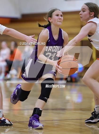 Thumbnail 3 in Arcola @ Cerro Gordo/Bement photogallery.
