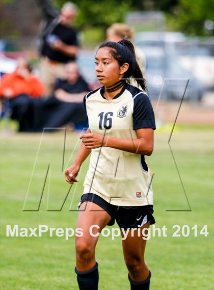 Thumbnail 2 in St Francis vs Enochs (CIF SJS D1 Quarterfinal Playoff) photogallery.