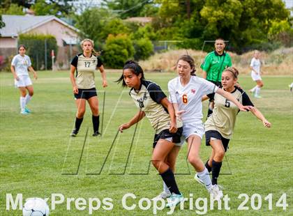 Thumbnail 1 in St Francis vs Enochs (CIF SJS D1 Quarterfinal Playoff) photogallery.
