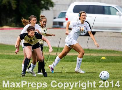 Thumbnail 3 in St Francis vs Enochs (CIF SJS D1 Quarterfinal Playoff) photogallery.