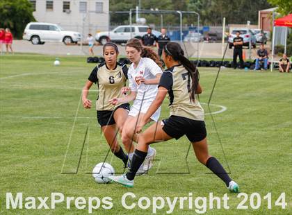 Thumbnail 2 in St Francis vs Enochs (CIF SJS D1 Quarterfinal Playoff) photogallery.