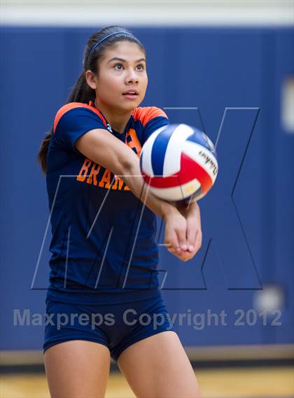 Thumbnail 1 in Taft @ Brandeis photogallery.