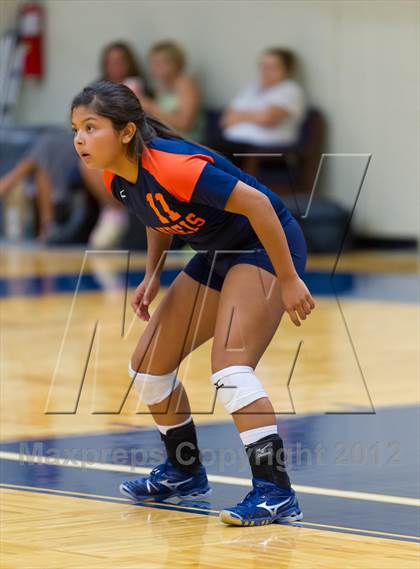 Thumbnail 1 in Taft @ Brandeis photogallery.