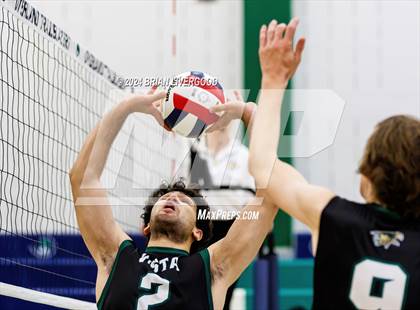 Thumbnail 1 in Fountain-Fort Carson vs. Mountain Vista (CHSAA 5A Semifinal) photogallery.