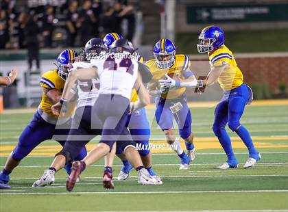 Thumbnail 3 in Brock @ Wimberley photogallery.
