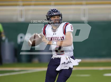 Thumbnail 1 in Brock @ Wimberley photogallery.