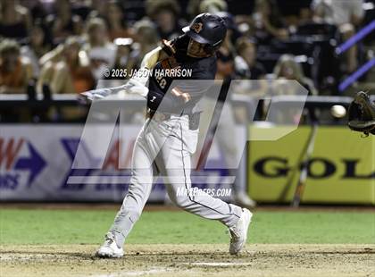 Thumbnail 1 in Comal Smithson Valley vs Aledo (UIL Baseball 5A D1 Final) photogallery.