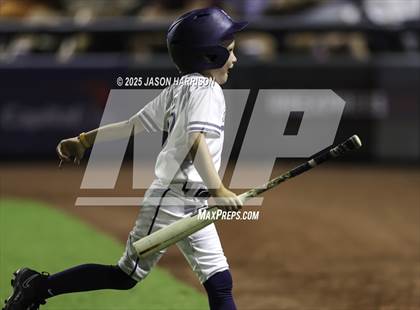 Thumbnail 3 in Comal Smithson Valley vs Aledo (UIL Baseball 5A D1 Final) photogallery.
