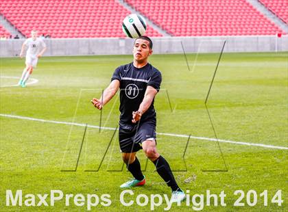 Thumbnail 2 in Cottonwood vs Hillcrest (RIO Tinto) photogallery.
