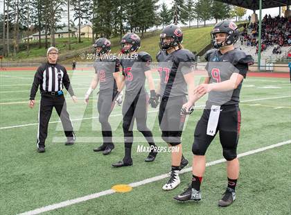 Thumbnail 2 in Sumner vs. Camas (WIAA 4A Semifinal) photogallery.