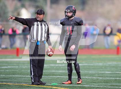 Thumbnail 1 in Sumner vs. Camas (WIAA 4A Semifinal) photogallery.