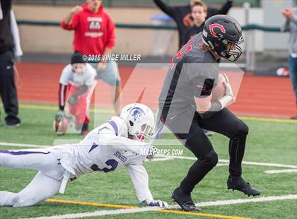 Thumbnail 2 in Sumner vs. Camas (WIAA 4A Semifinal) photogallery.