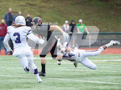 Thumbnail 2 in Sumner vs. Camas (WIAA 4A Semifinal) photogallery.