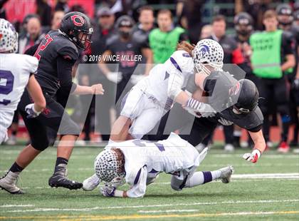 Thumbnail 1 in Sumner vs. Camas (WIAA 4A Semifinal) photogallery.