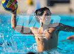 Photo from the gallery "St. Francis @ Crespi"