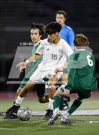 Photo from the gallery "Point Loma @ Poway"