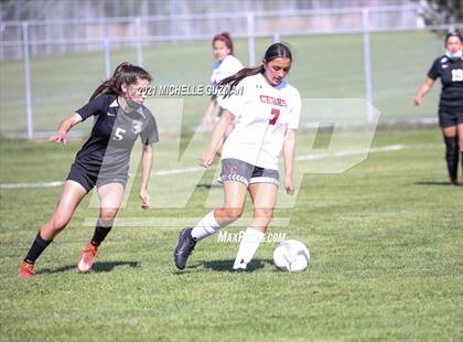 Thumbnail 2 in Ceres @ Enochs photogallery.