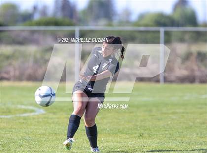 Thumbnail 3 in Ceres @ Enochs photogallery.