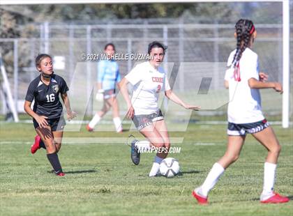 Thumbnail 3 in Ceres @ Enochs photogallery.