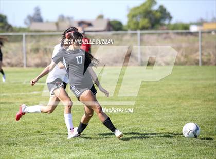 Thumbnail 3 in Ceres @ Enochs photogallery.