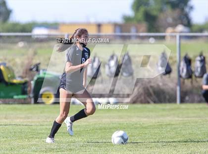 Thumbnail 1 in Ceres @ Enochs photogallery.