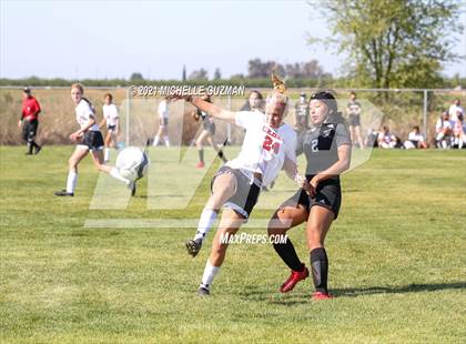 Thumbnail 3 in Ceres @ Enochs photogallery.