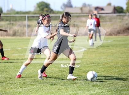 Thumbnail 2 in Ceres @ Enochs photogallery.