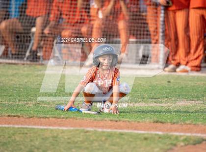 Thumbnail 1 in Eagle Pass @ Weslaco (UIL Baseball 6A Region 4 Area - Game 3) photogallery.
