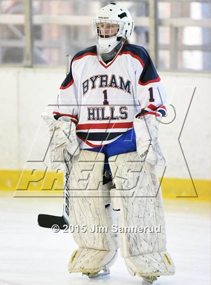 Thumbnail 2 in White Plains @ Byram Hills photogallery.